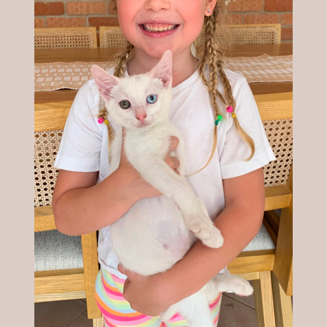 Photo of Ace 🤍🐻‍❄️🐻‍❄️