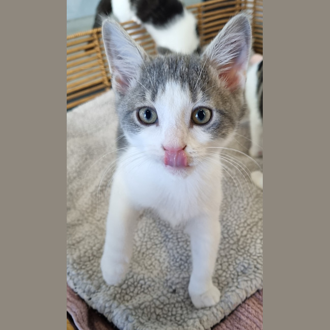 Photo of Mr Percival