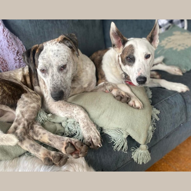 Photo of Anita Wiglet