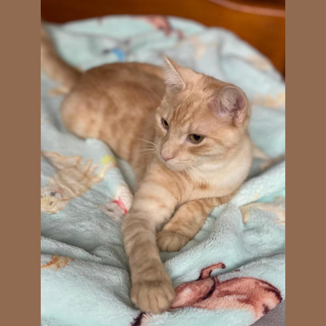 Photo of Sparkles