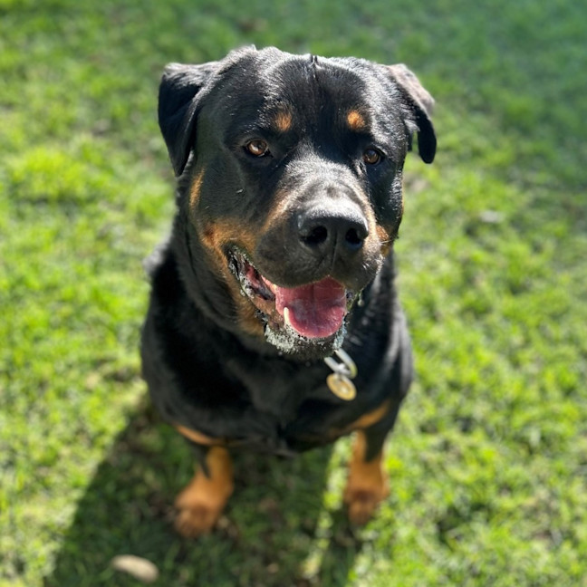 Photo of Axel