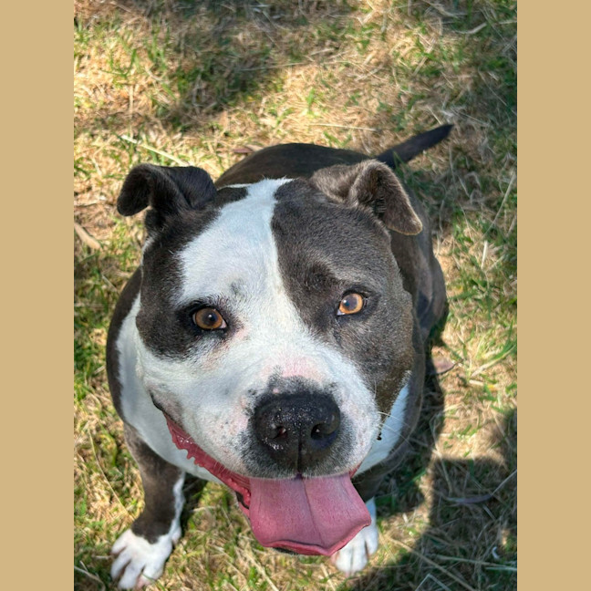 Photo of 🥊 Floyd 5607 🥊