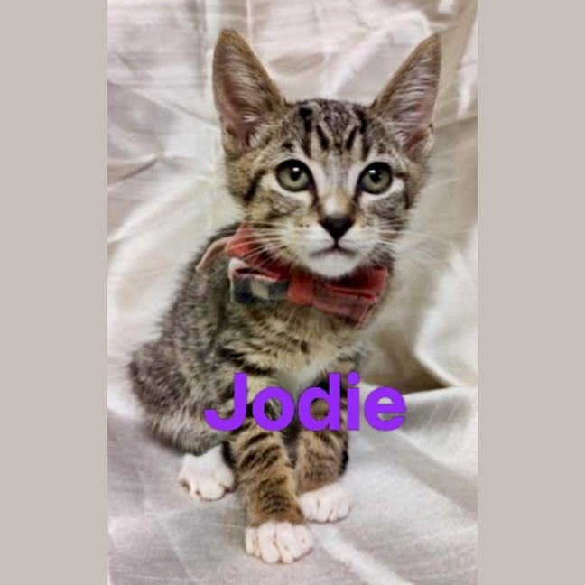 Photo of Jodie❤️