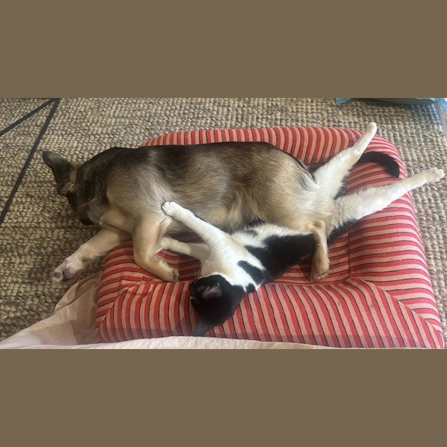 Photo of Alice & Anika