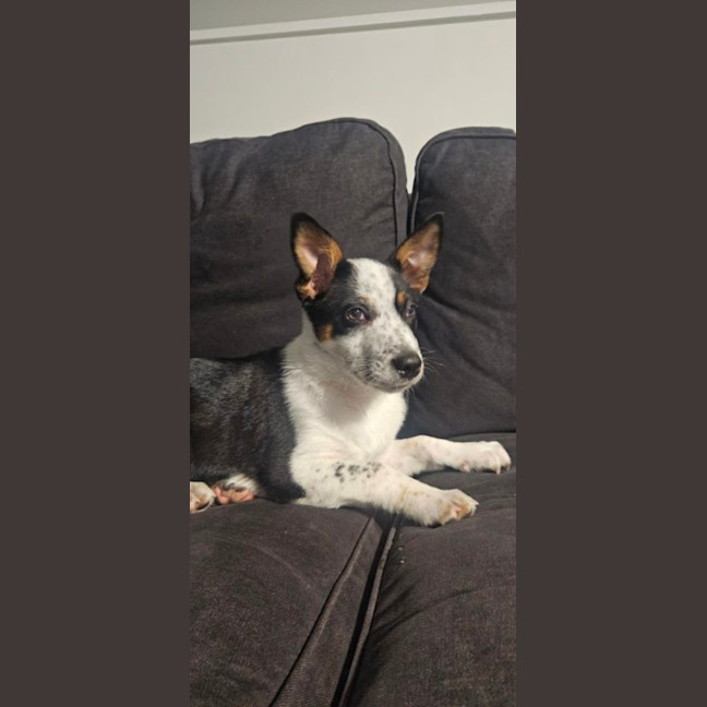 Photo of Brian
