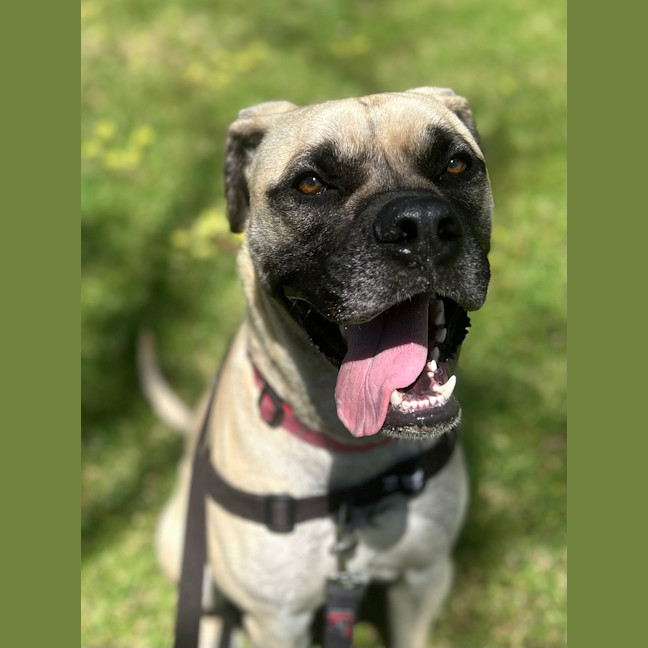 Photo of Bruce