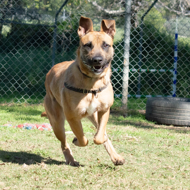 Photo of Scrap
