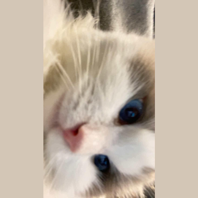 Photo of Nuage