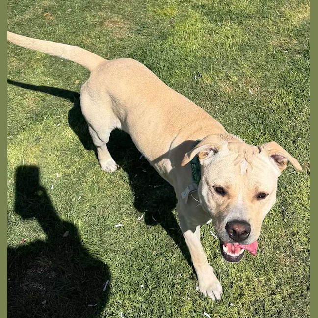 Photo of Astro