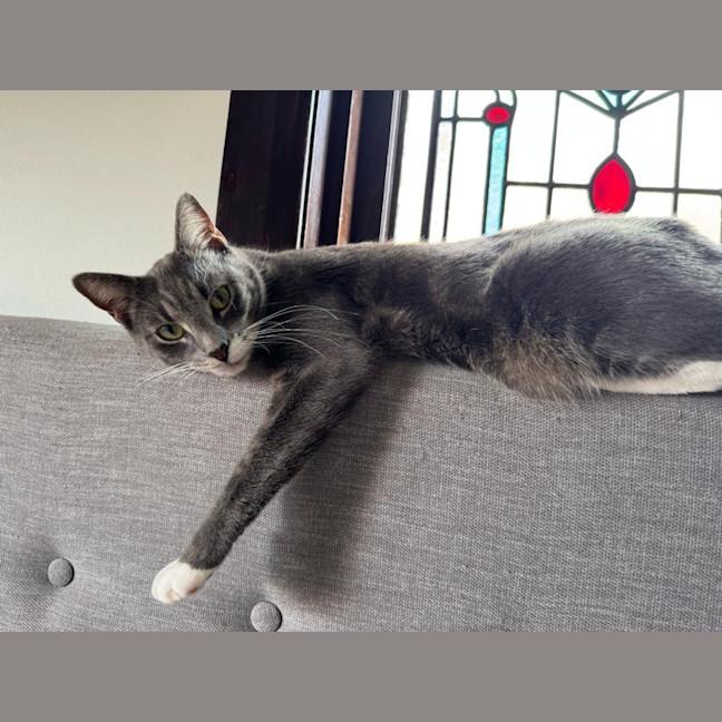 Photo of Alfie And Vinnie 