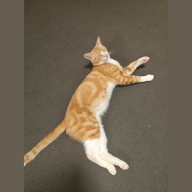 Photo of Julio