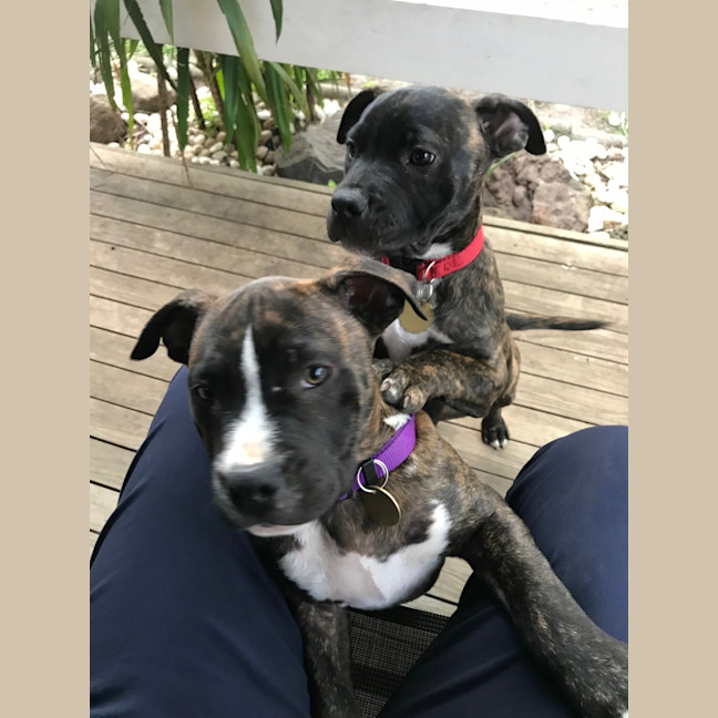 Photo of Aston Martin