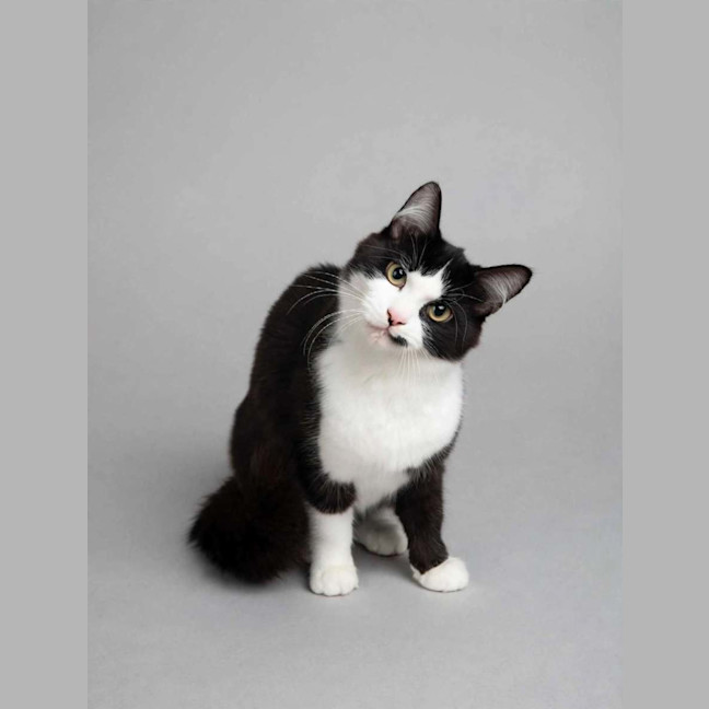 Photo of Bonnie