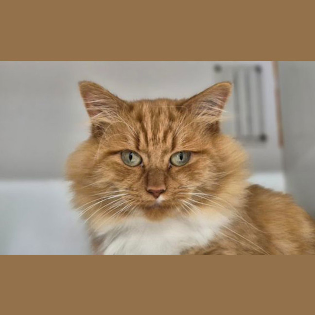 Photo of Walter