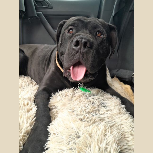 Photo of Chunk   63736