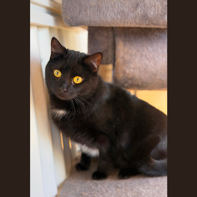 Photo of Skye