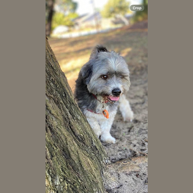 Photo of Belle And Hugo 