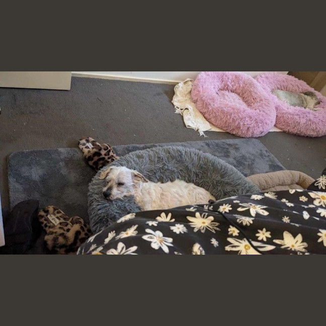 Photo of Simon Babbington