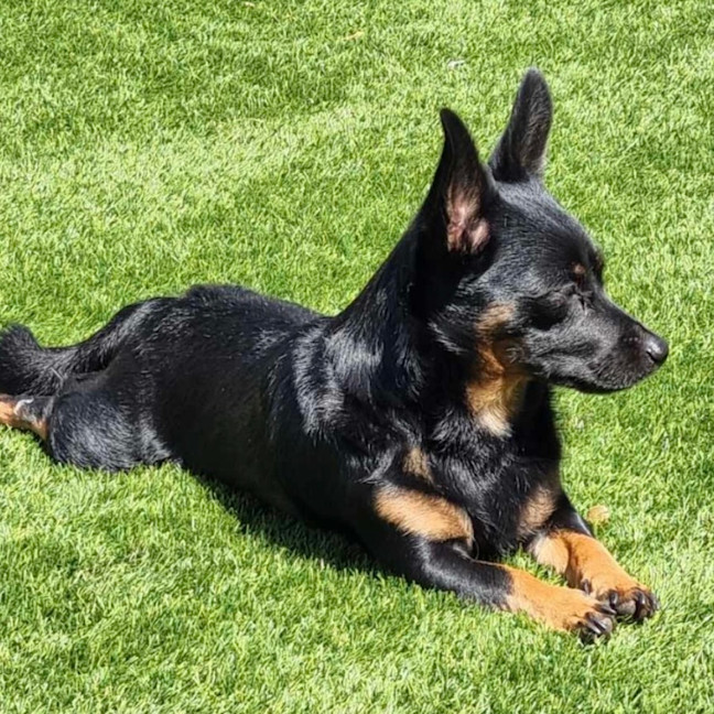 Photo of Henry! Loving, Happy Family Boy 