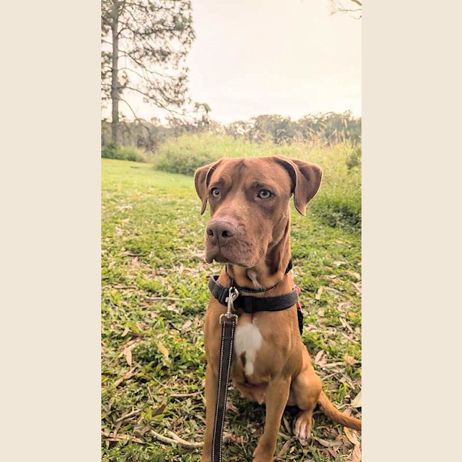 Photo of Ellie