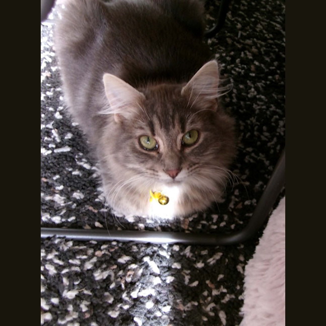 Photo of Matilda