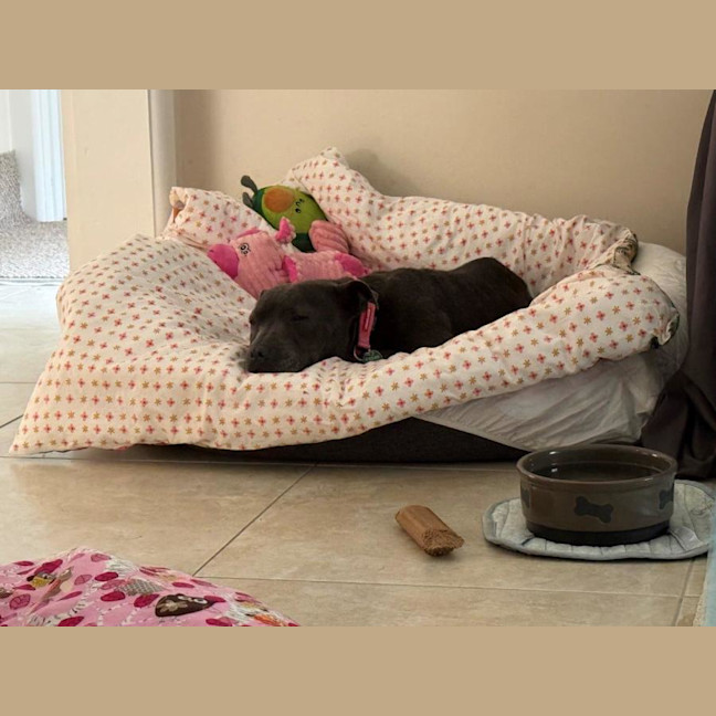 Photo of Wombat Bulleau