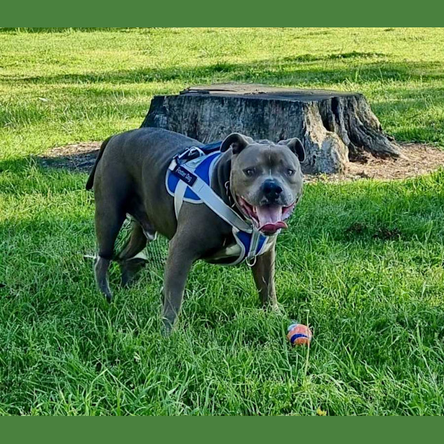 Photo of Mogwai