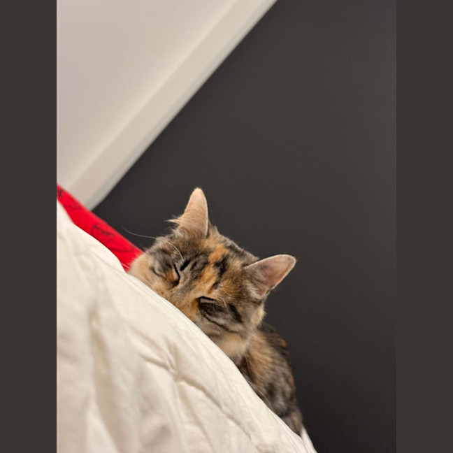 Photo of Jasmine