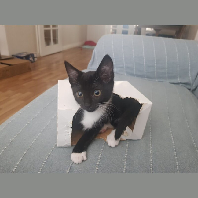 Photo of Cloud
