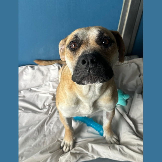 Photo of Tilly