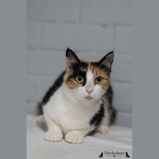 Photo of Hazel