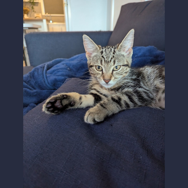 Photo of Lucia Scotty