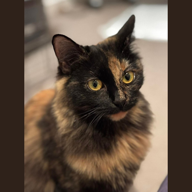 Photo of Ruby