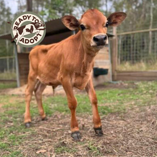 Photo of Bowen & Albert