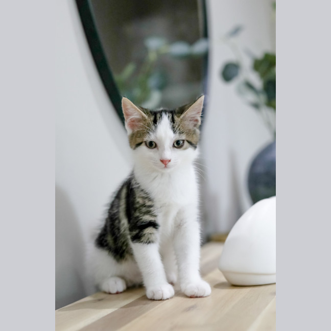 Photo of Izzy