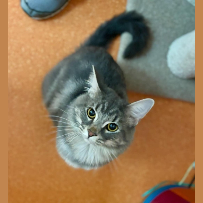 Photo of Leonardo