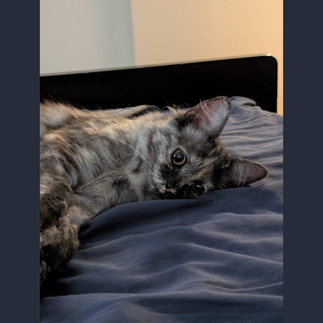 Photo of Asha Allbright