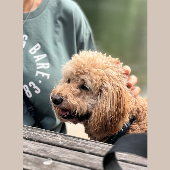 Photo of Emily