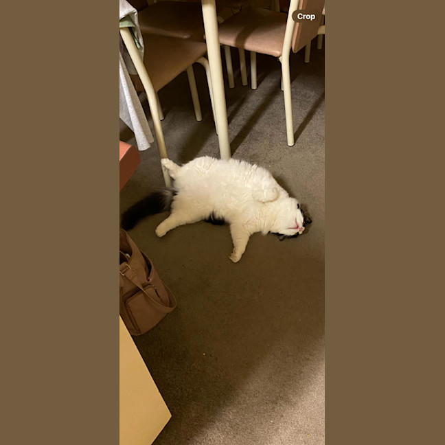 Photo of Richie Rich