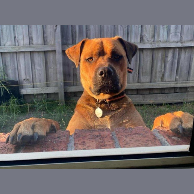 Photo of Skye Peggotty