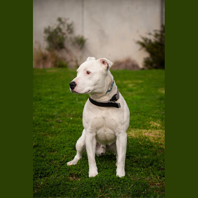 Photo of Max