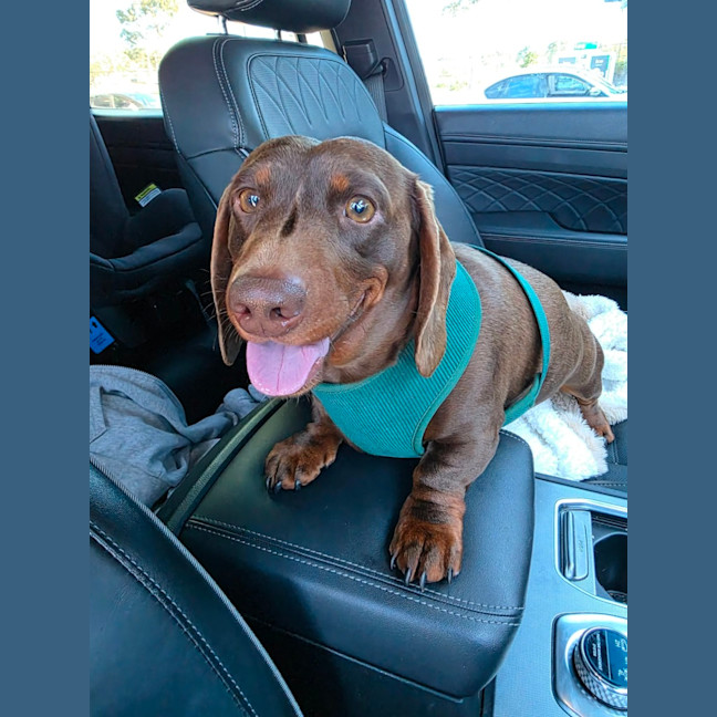 Photo of Lenny