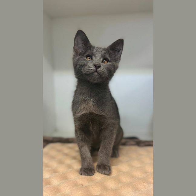 Photo of Wiggles