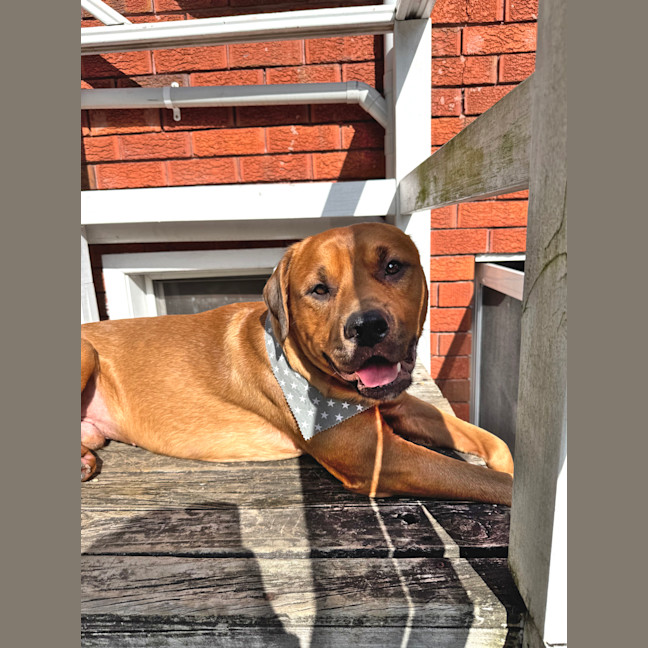 Photo of Wally
