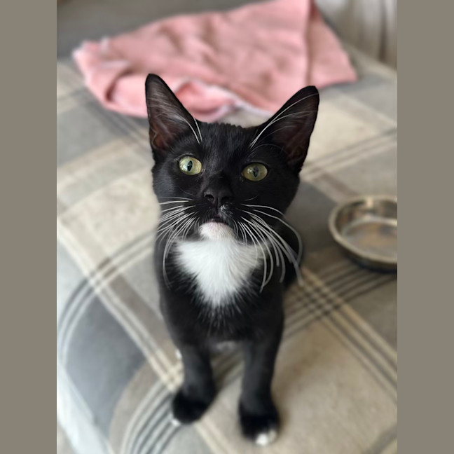 Photo of Apple Bottom Jeans