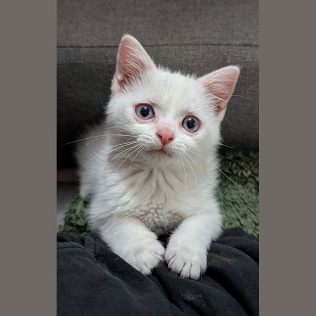 Photo of Jenny