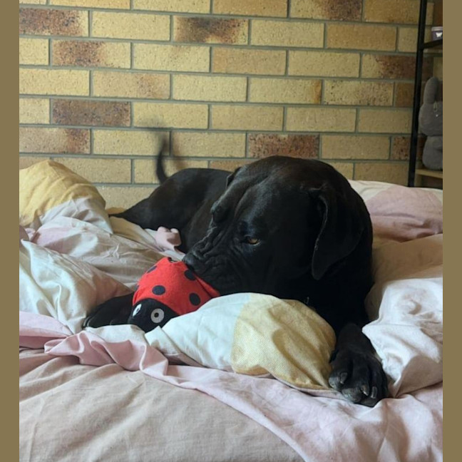 Photo of Athena