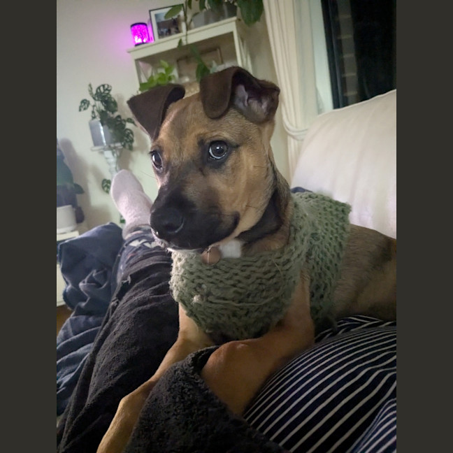 Photo of Matilda