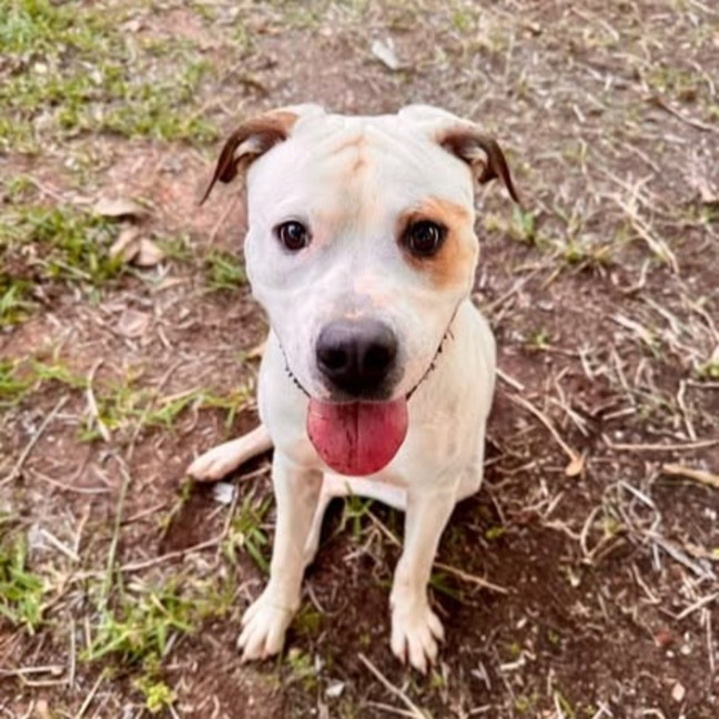 Photo of Happy