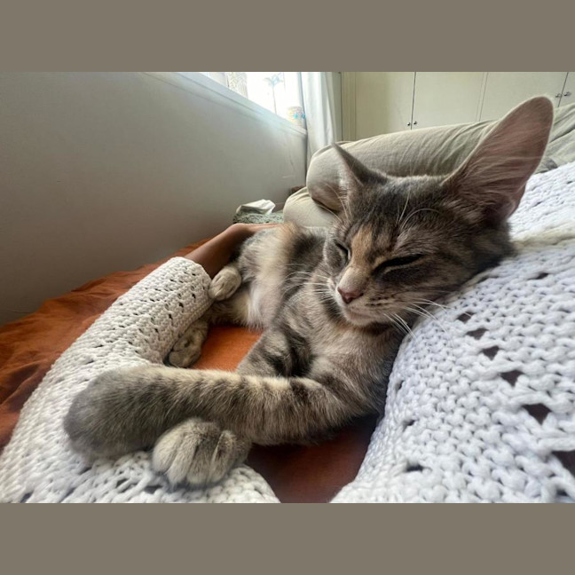 Photo of Valyria Emmie